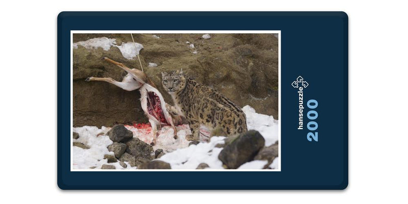 13591 Tierwelt - Schnee-Leopard