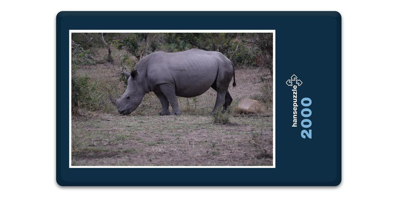 10344 Natur - Nashorn