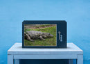 23282 Tierwelt - Krokodil