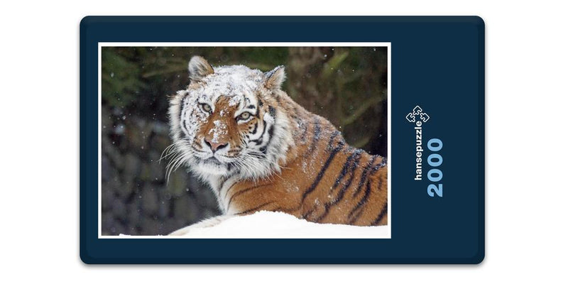 12225 Tierwelt - Schnee-Tiger