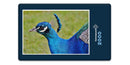 10609 Tierwelt - Pfau