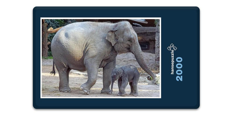 12209 Tierwelt - Elefant mit Baby