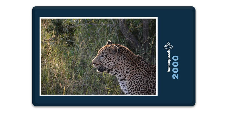 13595 Tierwelt - Leopard
