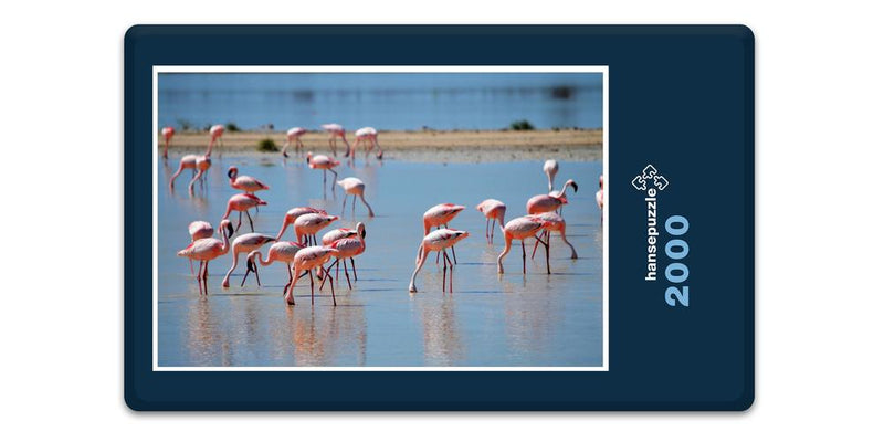 10332 Natur - Flamingos