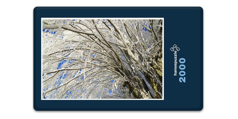 16287 Natur - Schnee-Baum