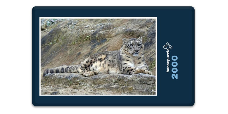 12249 Tierwelt - Schnee-Leopard