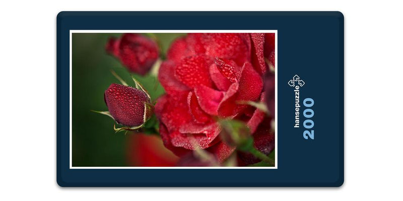 16331 Natur - Rote Rose