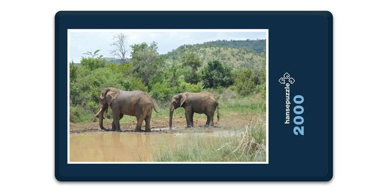 10376 Natur - Elefant