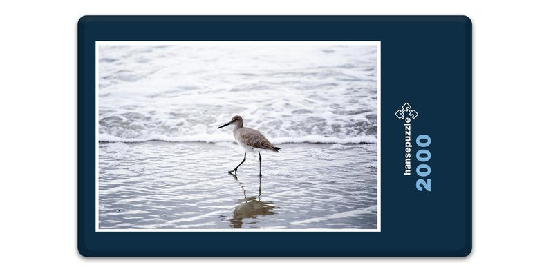 10617 Tierwelt - Vogel am Strand