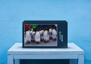 42734 Tierwelt - Pinguine