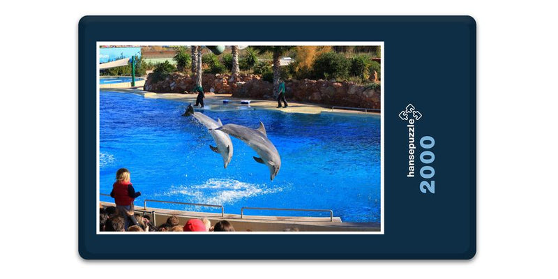 11653 Tierwelt - Delfin-Show