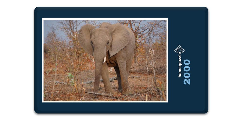 10368 Natur - Elefant