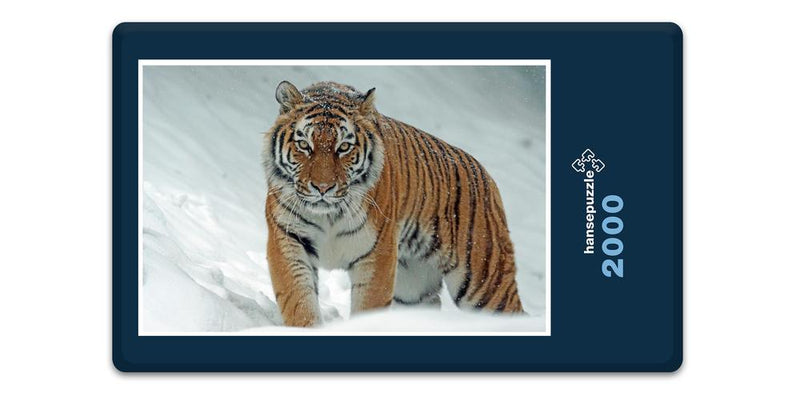 12233 Tierwelt - Tiger im Schnee