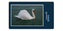 12205 Tierwelt - Schwan