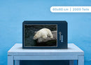 94287 Tierwelt - Eisbär