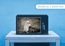 94293 Tierwelt - Eisbär