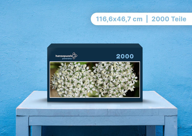 98904 Natur - Weiße Blumen