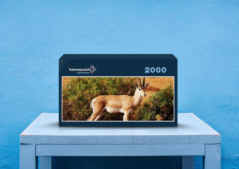 75928 Tierwelt - Antilope