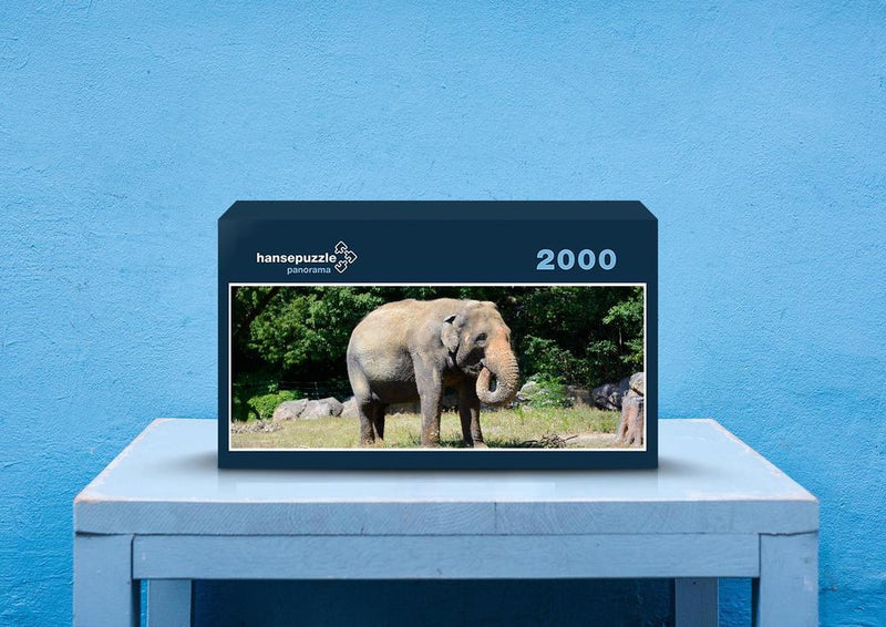 86992 Tierwelt - Elefant