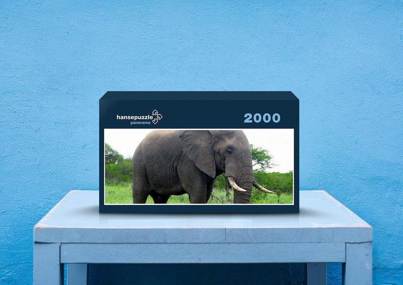75623 Tierwelt - Elefant