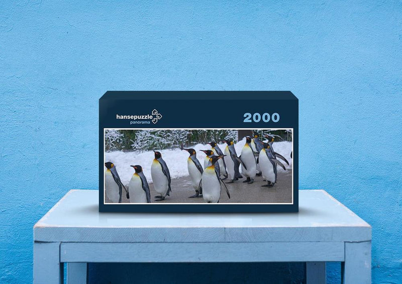 42842 Tierwelt - Pinguine
