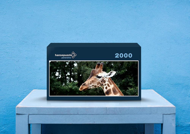 78622 Tierwelt - Giraffe