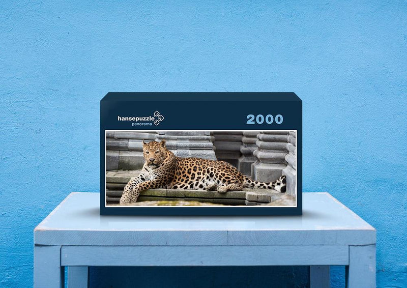 77339 Tierwelt - Leopard