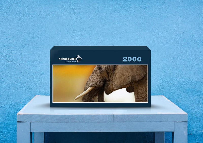75949 Tierwelt - Elefant