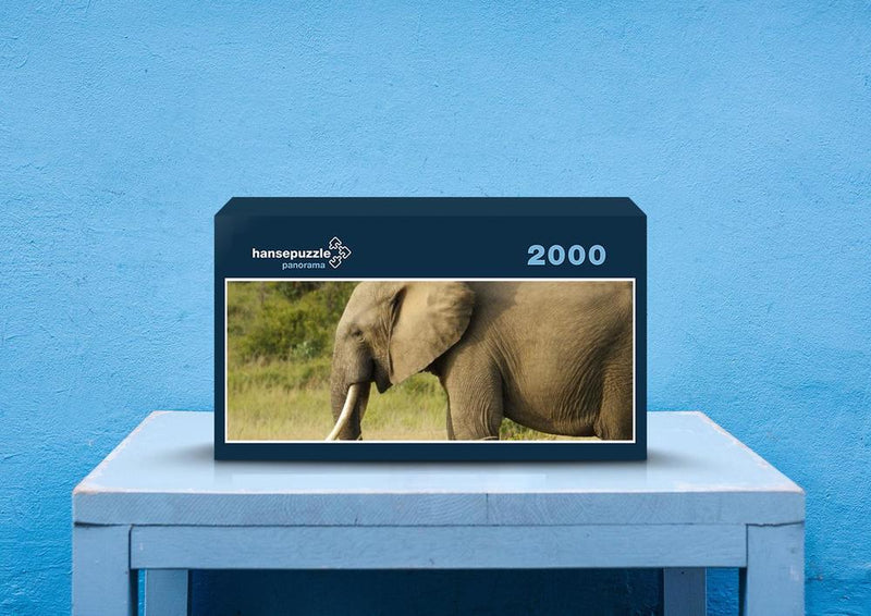 75603 Tierwelt - Elefant