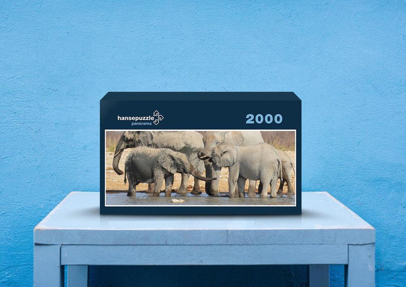 79901 Tierwelt - Elefanten