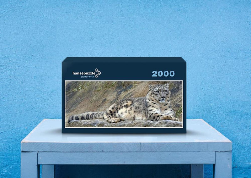 30090 Tierwelt - Schnee-Leopard