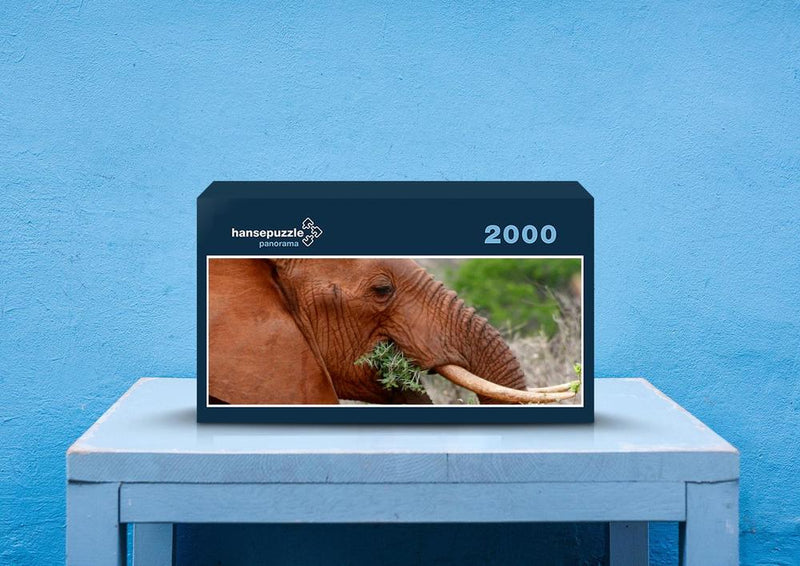 75636 Tierwelt - Elefant
