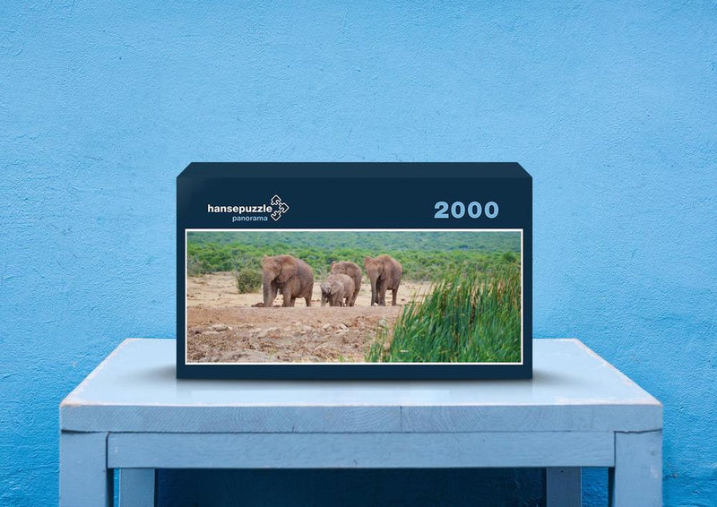 87135 Tierwelt - Elefanten