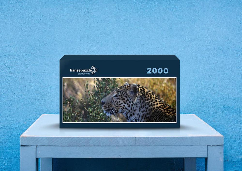 74390 Tierwelt - Leopard