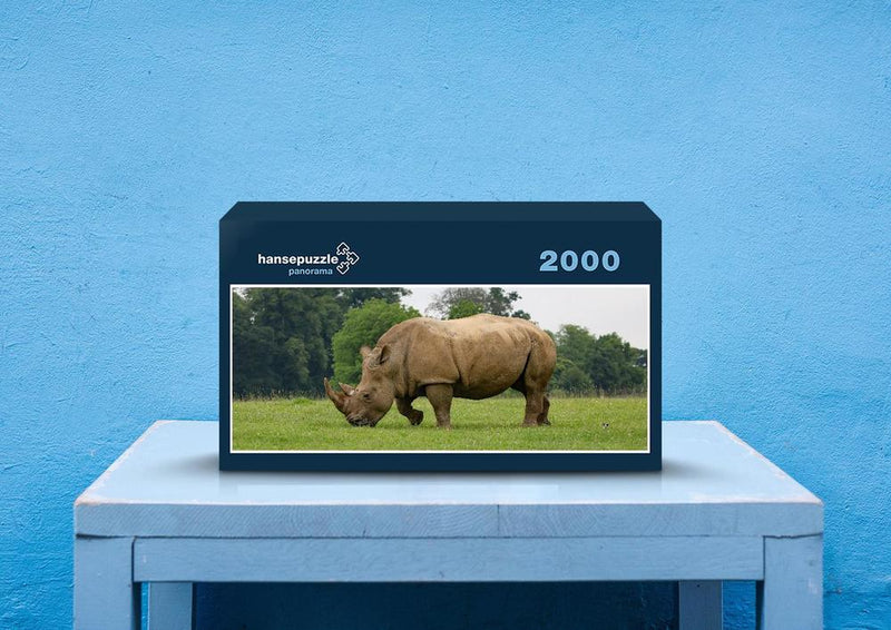 83774 Tierwelt - Nashorn