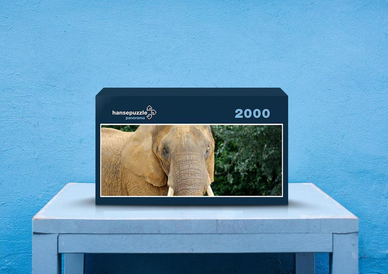 87010 Tierwelt - Elefant