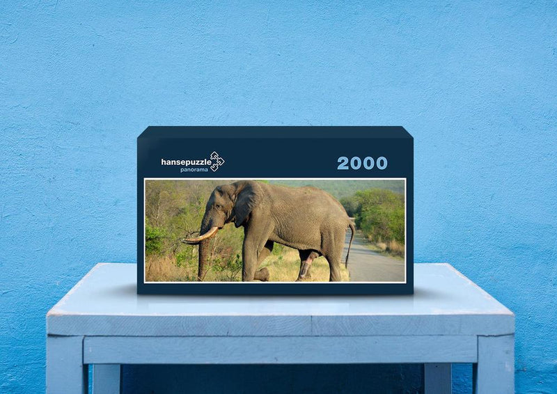 86906 Tierwelt - Elefant