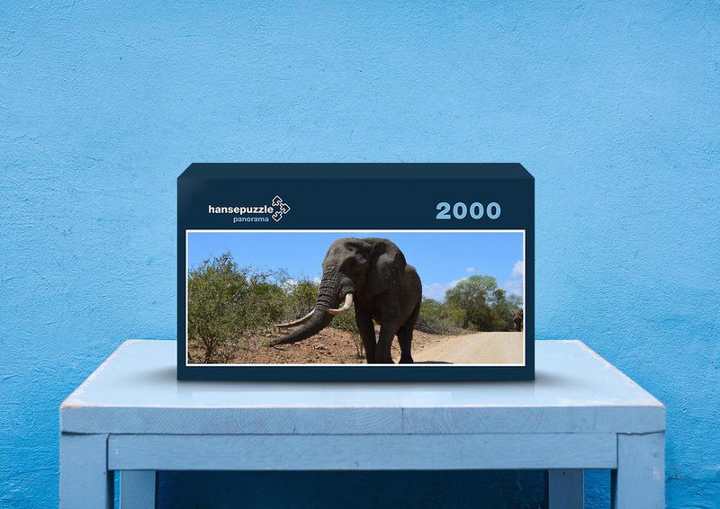 87285 Tierwelt - Elefant