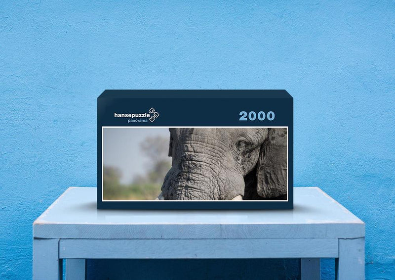 87030 Tierwelt - Elefant