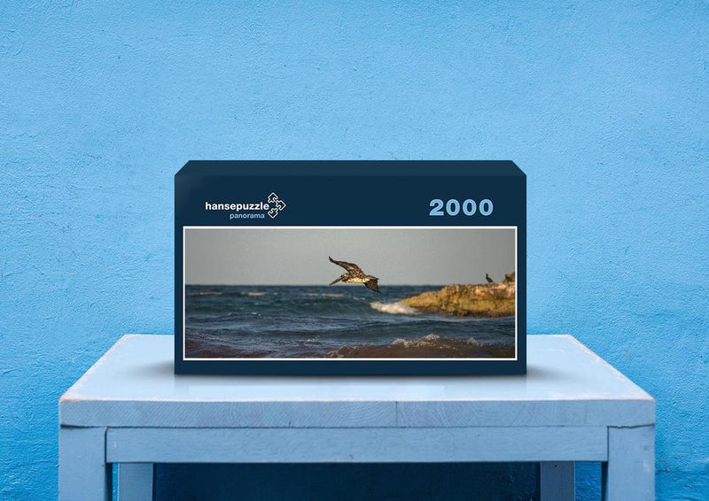 30050 Tierwelt - Cormoran