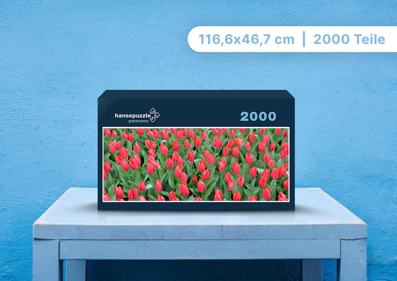 105304 Natur - Tulpen