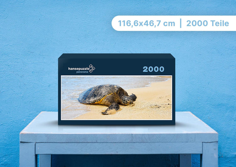 103500 Tierwelt - Wasserschildkröte