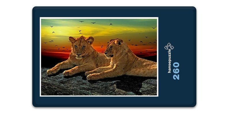 16910 Tierwelt - Löwen-Paar