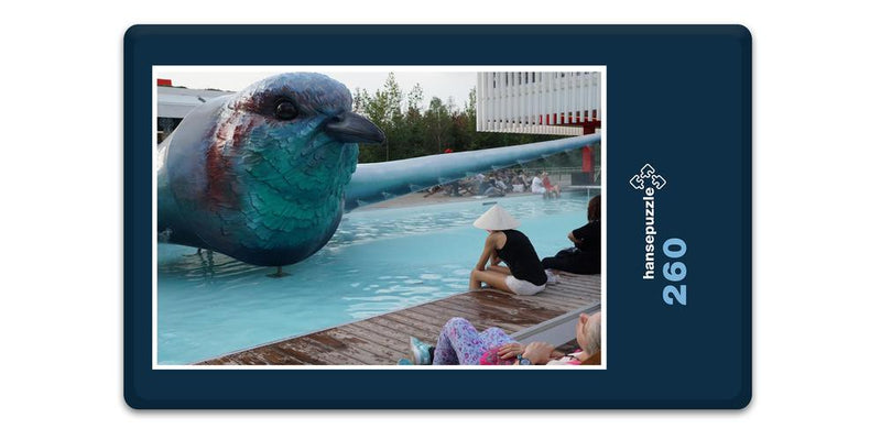 11634 Tierwelt - Vogel im Pool