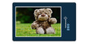 16564 Tierwelt - Teddy auf der Wiese