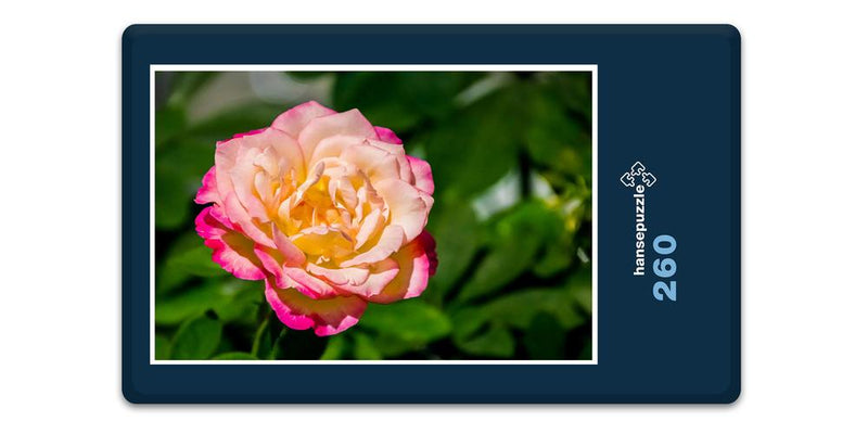 12726 Natur - Rose