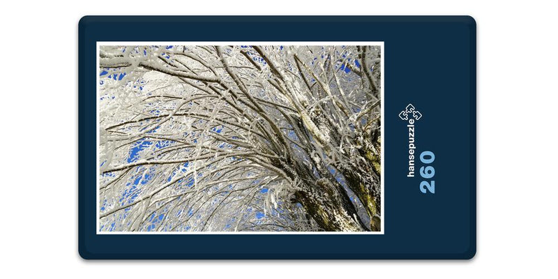 16284 Natur - Schnee-Baum