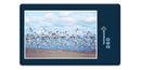 16622 Tierwelt - Möwen-Schwarm