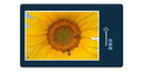 15408 Natur - Sonnenblume