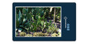 19906 Natur - Kaktus-Beet